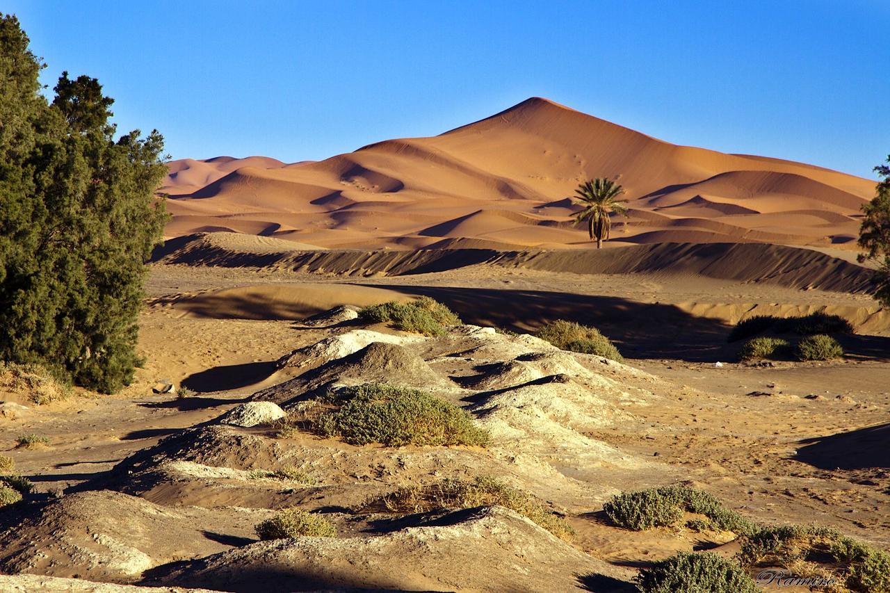 Riadsuerteloca Merzouga Hassilabied Eksteriør billede The Sahara Desert